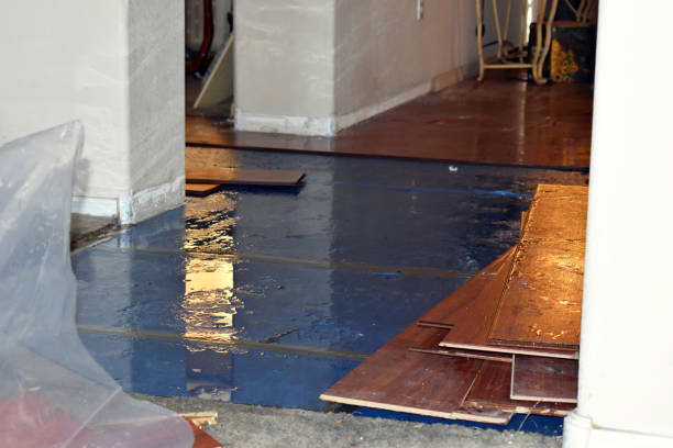 Professional Burst Pipe Cleanup technician working in Bannister, MI