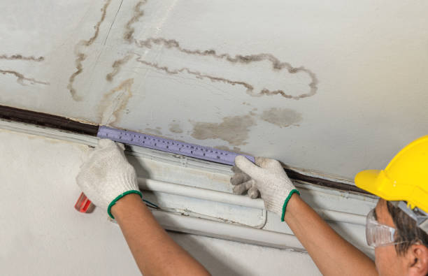 Reliable Burst Pipe Cleanup contractor in Bannister, MI by Local Water Damage Repair